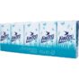 Linteo hygienické vreckovky 2-vrstvové 10x10ks