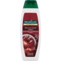 Palmolive šampón 350ml Brilliant Color
